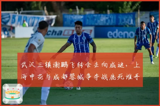 武汉三镇谢鹏飞转会去向成谜,上海申花与成都蓉城争夺战鹿死谁手?