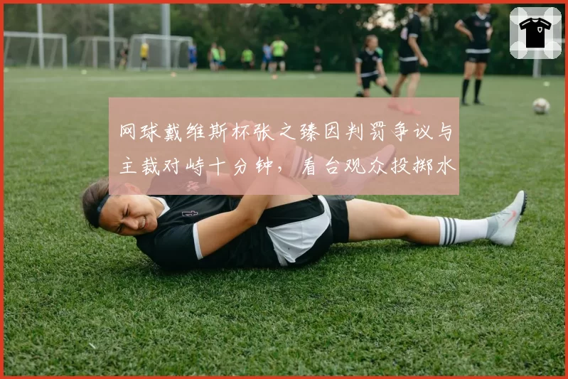 网球戴维斯杯张之臻因判罚争议与主裁对峙十分钟,看台观众投掷水瓶导致比赛中断__br_